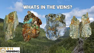 We Analyzed Four Mineral Veins For Gold Content!