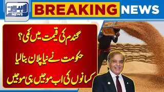 Decrease in the price of wheat? The government made a new plan | Lahore News HD