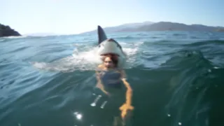 This Shark Devoured A Girl Peeing In The Ocean!