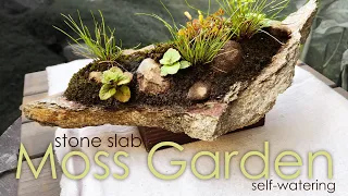 Stone slab mini moss garden (self-watering)