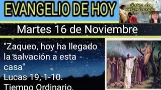 Evangelio de hoy según San Lucas 19, 1-10 / Martes 16 de Noviembre 2021/Meditación Papa Francisco