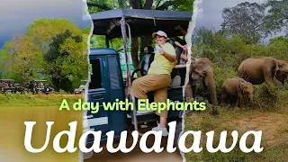 Travel Sri Lanka, Safari in Udawalawe National Park, Sri Lanka.