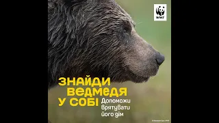 Знайди ведмедя у собі та допоможи WWF врятувати його дім