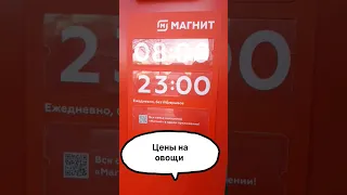 Цены на овощи в Магните #ценывроссии #магнит #овощи