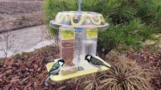 Food & Water Twin Feeder / DIY Bird Feeder