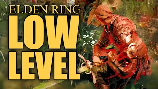 Low level fixes the Elden Ring poise flaw