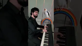 Parrot and piano #parrot #piano #duet #animals #birds #birdsounds #parrots #pets