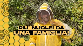 Come e Perché ricavare più Nuclei dalla stessa Famiglia