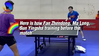 Ma Long, Chen Meng, Fan Zhendong, Wang Chuqin training at World Championships 2024