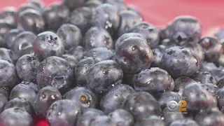 Can Blueberries Help Fight Cervical Cancer?