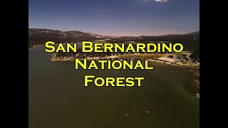 San Bernardino National Forest