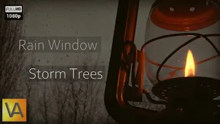 Storm Lantern with Rain on Window and Wind through Trees