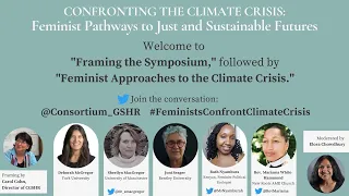 Feminist Approaches to the Climate Crisis
