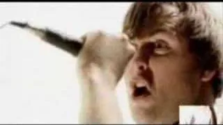 Ссора Napalm Death и Nigtwish