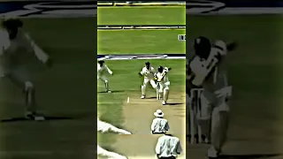 Sachin Tendulkar vs Shane Warne 🔥🥶 #shorts #viral