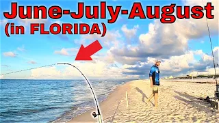 TOP 5 things to DO (TO CRUSH IT) FLORIDA (GULF COAST) surf fishing in THE SUMMER！