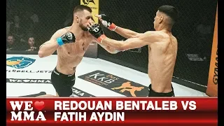 We Love MMA 49 Stuttgart: Redouan Bentaleb vs Fatih Aydin