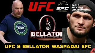 kabar Ufc Terbaru - UFC dan Bellator Waspadai EFC Khabib Nurmagomedov karena ini?