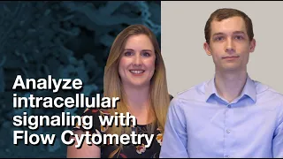 Experimental Design: Analyze intracellular signaling with Flow Cytometry | CST Tech Tips