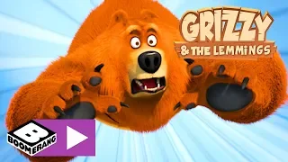 Grizzy en de Lemmings | Lemming-strand | Cartoonito