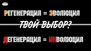 Эволюция-Инволюция.  Твой выбор?