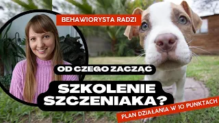 SZKOLENIE SZCZENIAKA - od czego zacząć? Plan działania w 10 punktach!