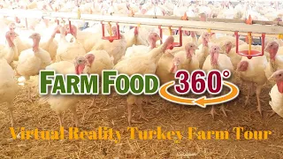 FarmFood360° – Virtual Reality Turkey Farm Tour