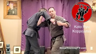 Koto Ryu Fighting Form - Setto (Break and Knock Down)