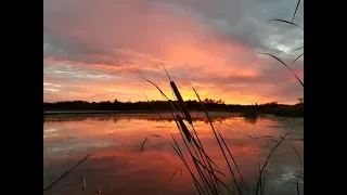 DUCK HUNTING 2018. Minnesota Opening Weekend "The Movie"