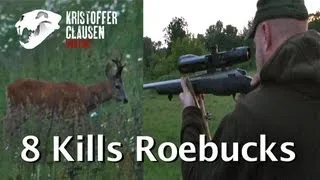 Kristoffer Clausen hunting roebucks 8 kills. Bukkejakt 8 fellinger