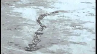 Iceland's version of the Loch Ness monster - the Lagarfljot river worm