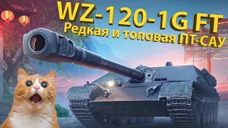 WZ-120-1G FT - Редкая и топовая ПТ-САУ!