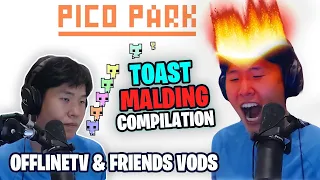 Toast MALDING Compilation &  Funny Fail Attempts  in Pico Park with Offline TV & Friends