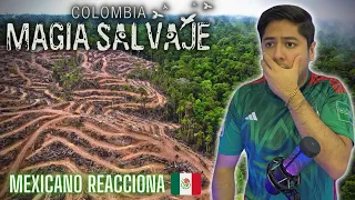 MEXICANO REACCIONA 🇲🇽 | Colombia MAGIA SALVAJE 🇨🇴❤️ - Parte Final | *Este video es muy emotivo*😭