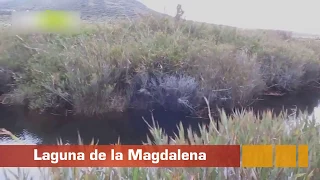 👍 Turismo en el Huila 💥 Macizo Colombiano - Laguna de La Magdalena Nacimiento Geografia Colombiana 👍