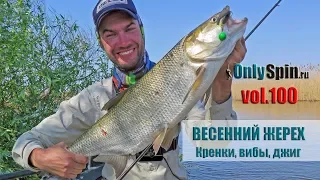 Весенний жерех  Кренки, вибы, джиг  #OnlySpin