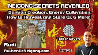 🙏NEIGONGN🙏Neigong Instructor Reveals Secret Energy Cultivation Methods, Dantian Activation & More!