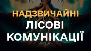 Надзвичайні лісові комунікації. Невже Дарвін помилявся?