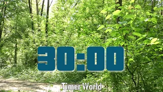 30 Minute Timer [Forest Bird Sounds] 🔔🐦🌳