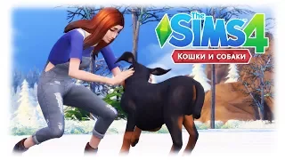 [TS4] Полный обзор дополнения "Кошки и собаки"