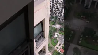 #chicken🐔 #jumped #down #from the tall #building #funny #viral #shortschicken