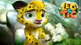 Leo and Tig - All Episodes In A Row 🦁 (Episode 16-20) 🦁 Cartoon for kids Kedoo Toons TV