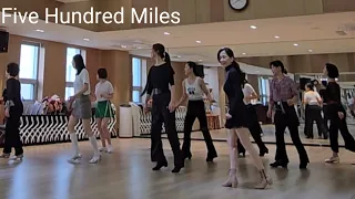 Five Hundred Miles LineDance (dance & counts) #대한라인댄스협회청담지부 #개포4문화센터영상반