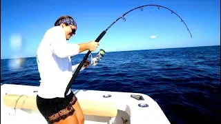 I Caught the IMPOSSIBLE!! CATCH CLEAN & COOK- Fishing on West Coast of Florida!