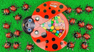 ASMR Satisfying Video l Red LadyBug with New Candy Mixing in Glossy Slime Spider and Soccer Balls