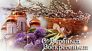 💗Нежное Поздравление с Вербным Воскресеньем!