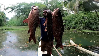 Amazing Big Fish Catching !!! | Island Fishing Sri Lanka