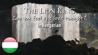 The Lion King [2019] - Can You Feel The Love Tonight (Hungarian) S&T