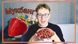 🍓Мугбанк! На недельку в Комарова🏡Самый уникальный город🗽Все боятся avon/лохотрон🤦‍♂️