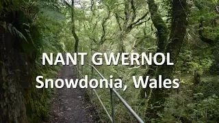 Nant Gwernol, Wales